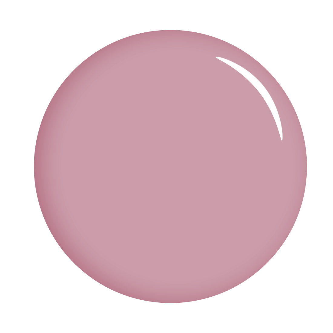 The Gel Expert Gel Polish - Cheesecake