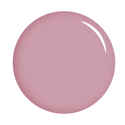 The Gel Expert Gel Polish - Cheesecake
