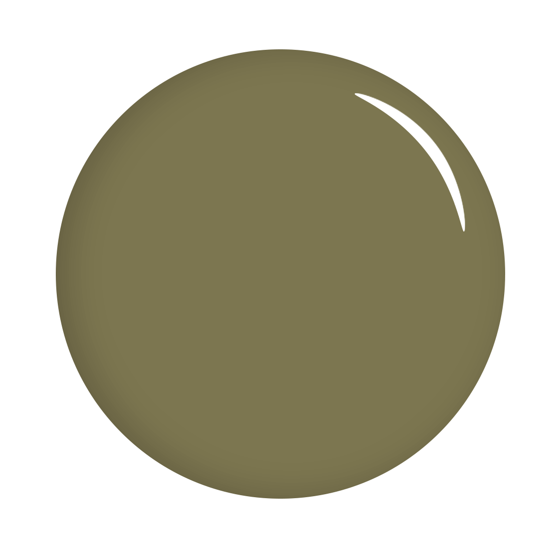 The Gel Expert Gel Polish - Olive